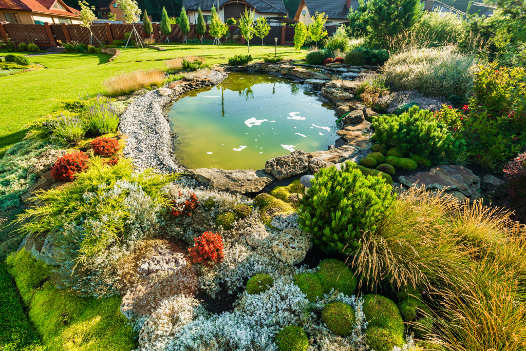 Backyard oasis with a pond and plants.