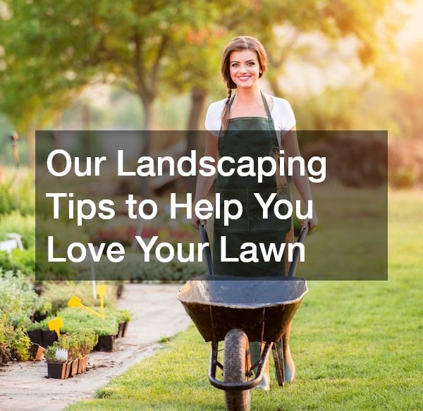 Our Landscaping Tips to Help You Love Your Lawn