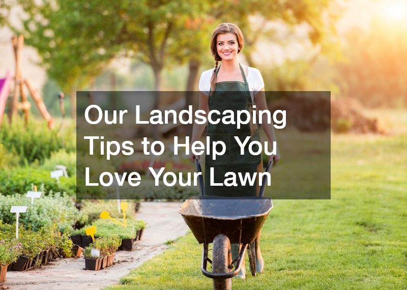 Our Landscaping Tips to Help You Love Your Lawn