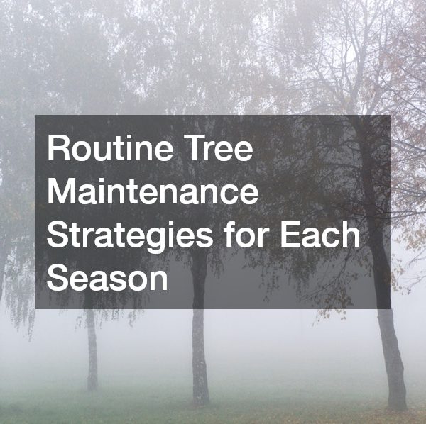 Routine Tree Maintenance Strategies for Each Season