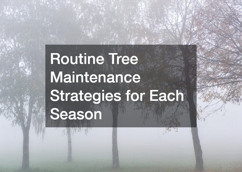 Routine Tree Maintenance Strategies for Each Season