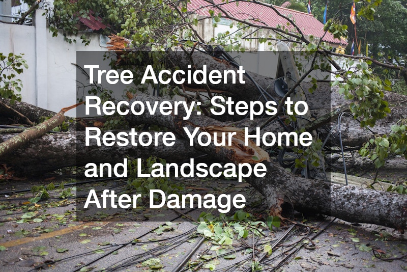 Tree Accident Recovery Steps to Restore Your Home and Landscape After Damage