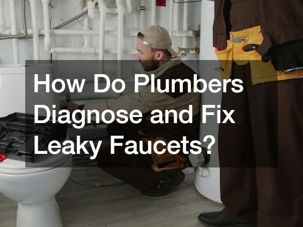 How Do Plumbers Diagnose and Fix Leaky Faucets?
