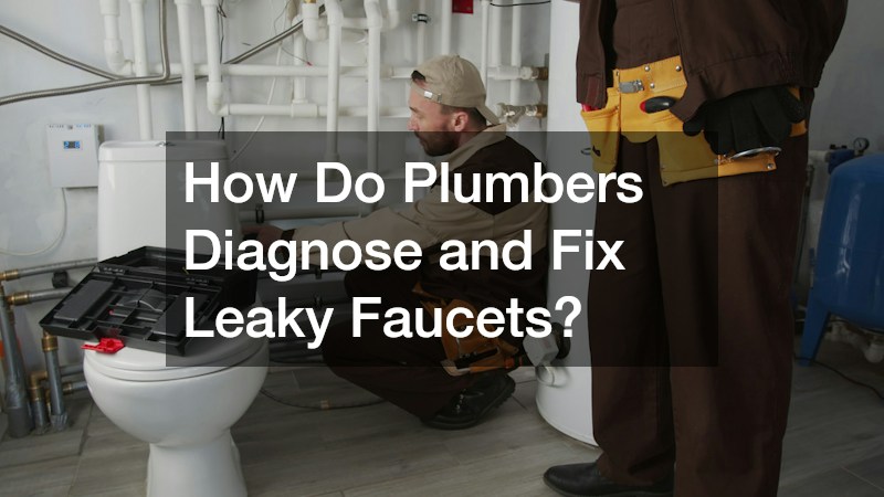 How Do Plumbers Diagnose and Fix Leaky Faucets?